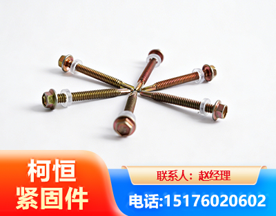锡林郭勒六角钻尾丝